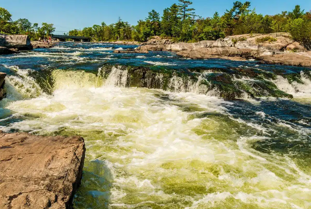 Burleigh Falls water jackson bros spray foam
