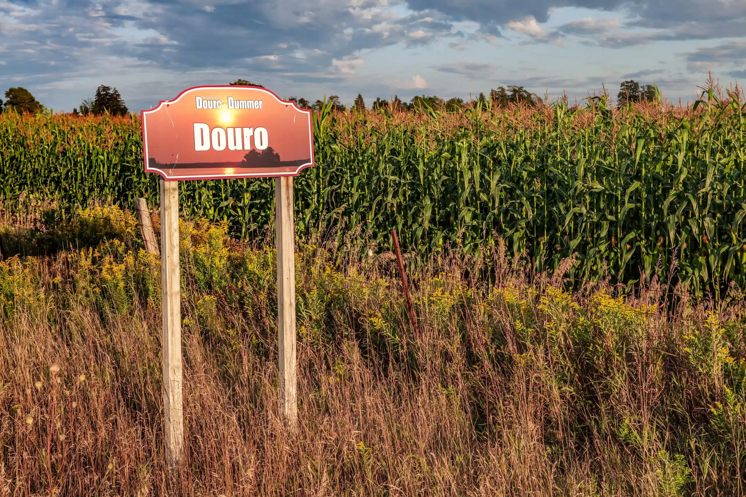 douro ontario road sign